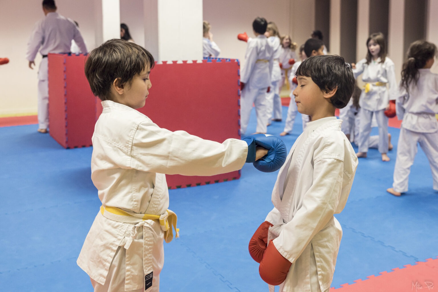 Milie Pix - photo retouchée (8)